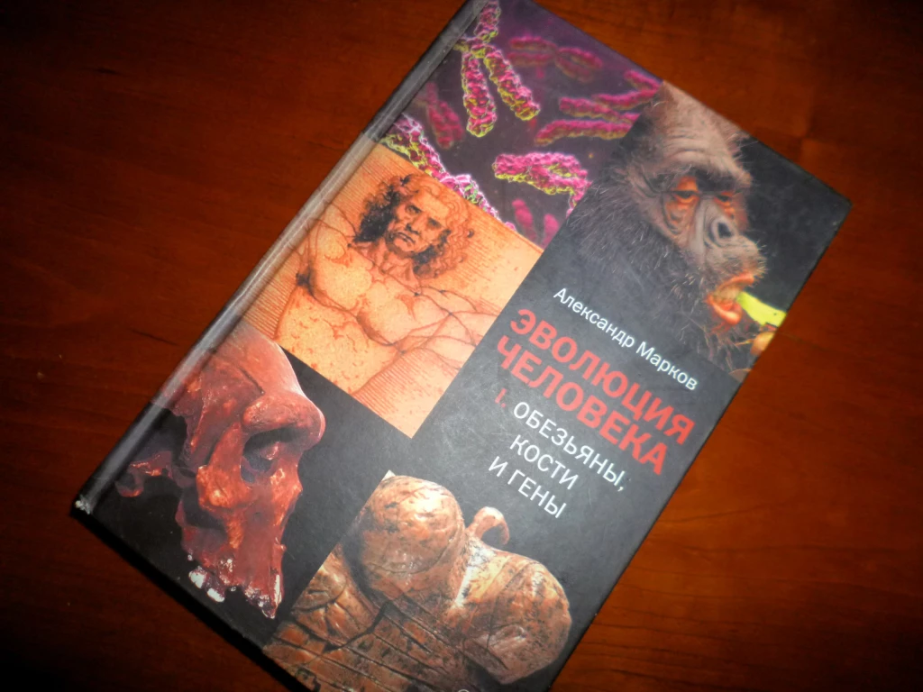 Александр Марков 