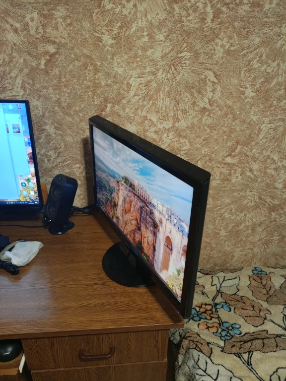 Asus VH 242H