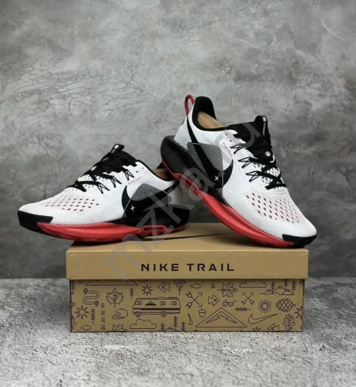 Спортивные кроссовки для бега Nike Pegasus Trail 5