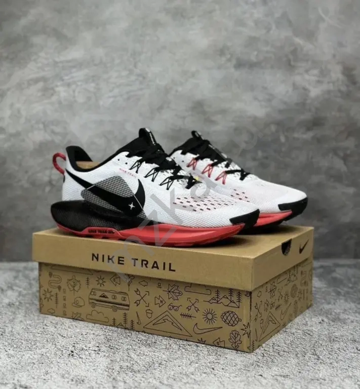 Спортивные кроссовки для бега Nike Pegasus Trail 5