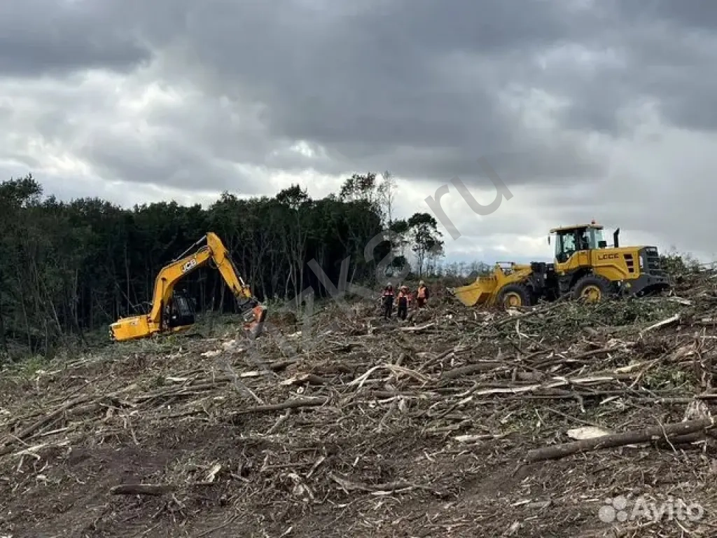 Расчистка территорий от деревьев и пней от 1 Га