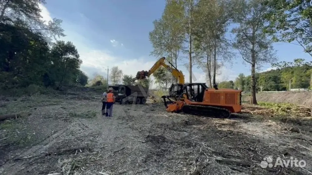 Расчистка территорий от деревьев и пней от 1 Га