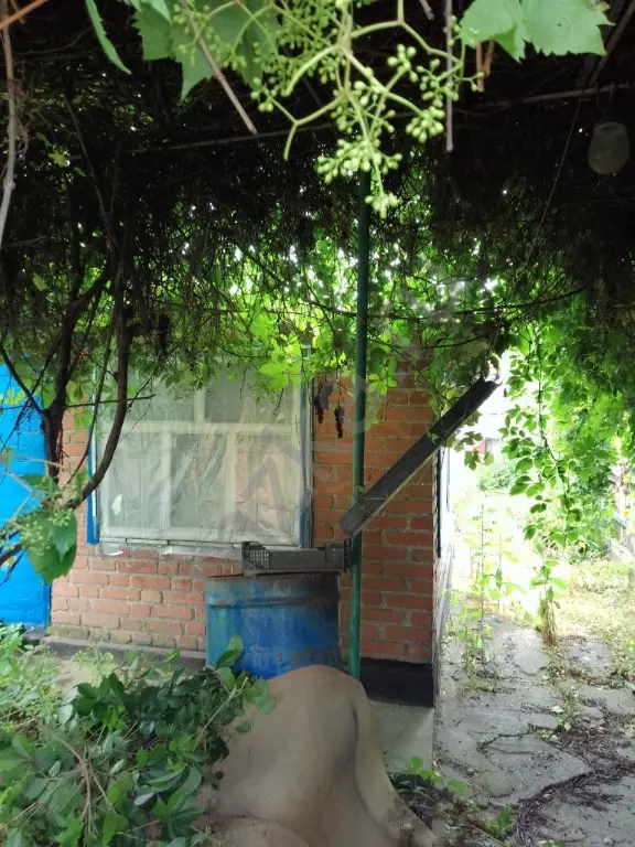 🏡 Продаётся газифицированный дом в Новоазовске!